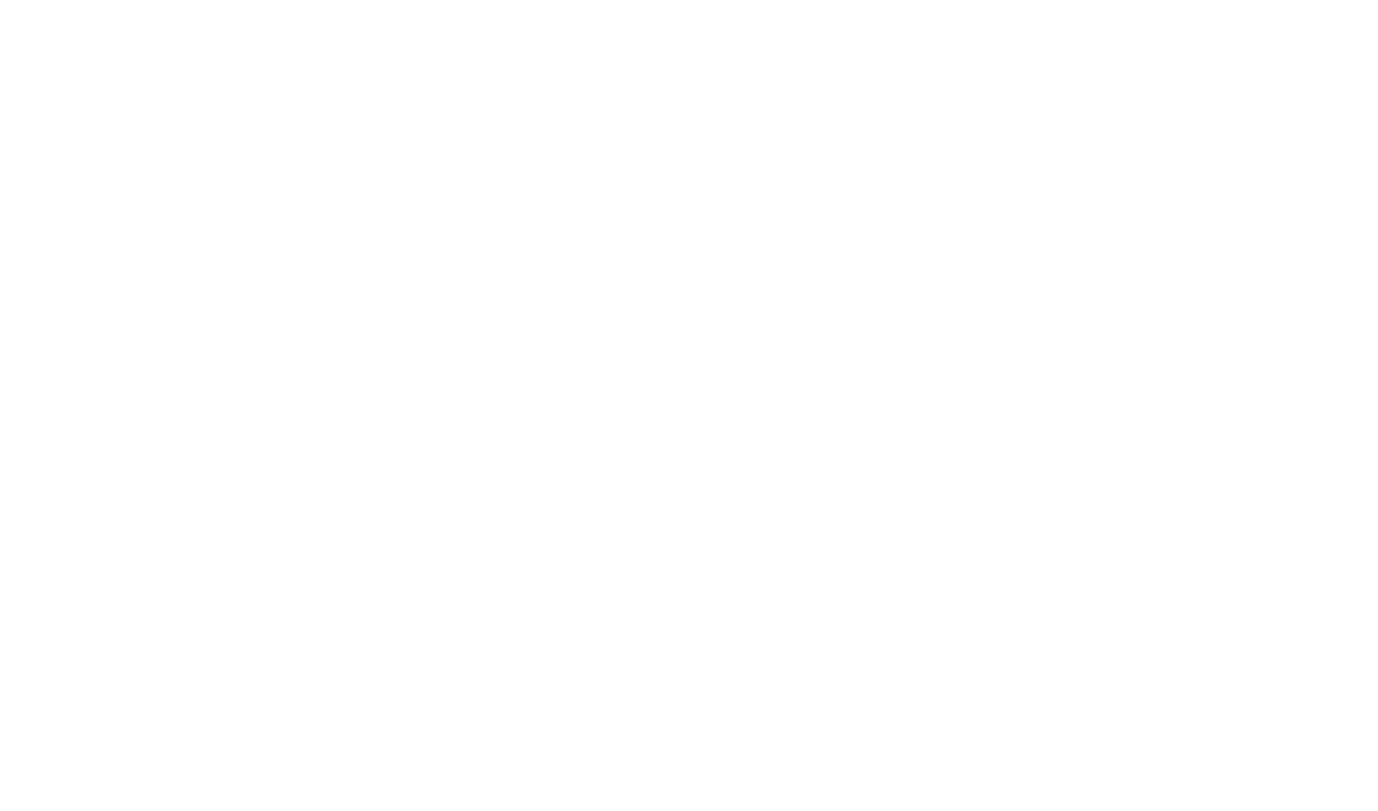 Logo_Nock-Chalet_weiss